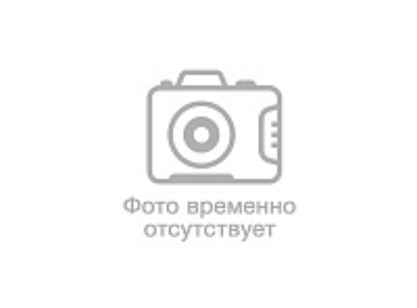 Пружина вакуумного усилителя тормозов ВАЗ 2109-3510249