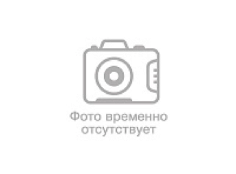 Пружина вакуумного усилителя тормозов ВАЗ 2109-3510249 - Фото №1